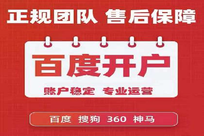 SEM运营中的数据分析和优化案例研究